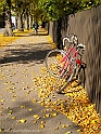 pix 094